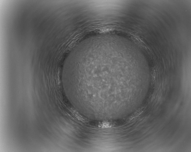 X0000057070565200510010136