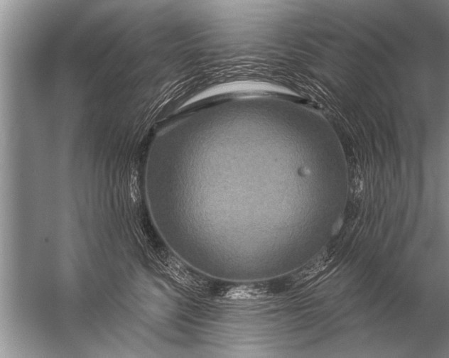 X0000057070568200510010136