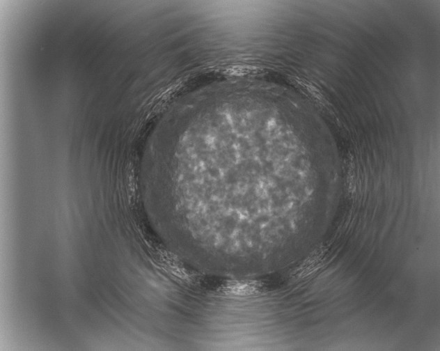 X0000057070569200510010136