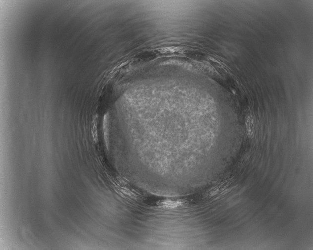 X0000057070570200510010136