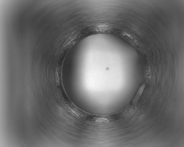 X0000057070572200510010136