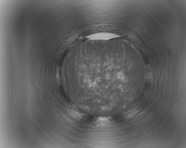 X0000057070573200510010137