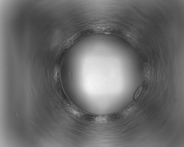 X0000057070574200510010137