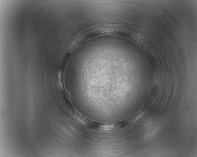 X0000057070575200510010137