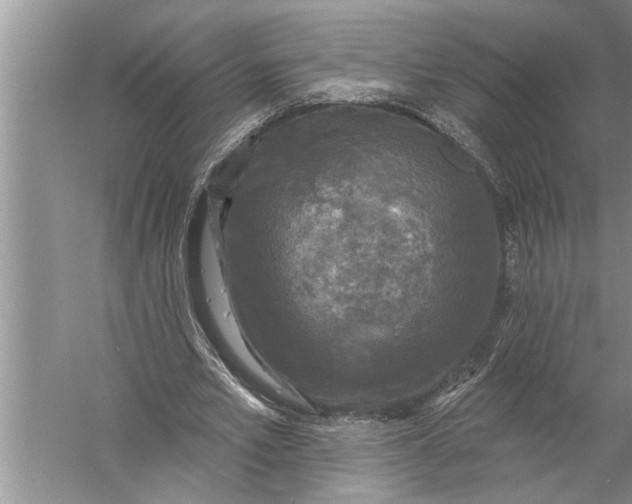 X0000057070581200510010136