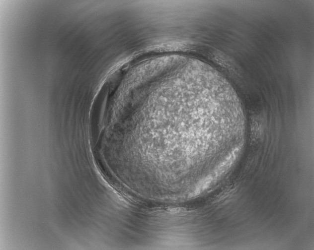 X0000057070582200510010136