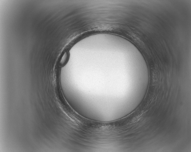 X0000057070584200510010136