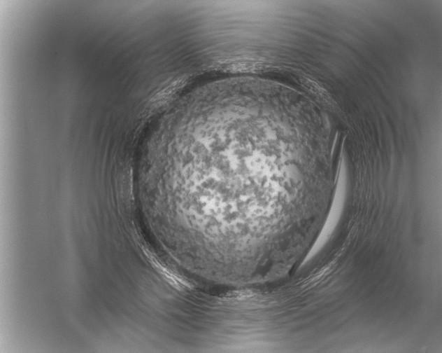 X0000057070589200510010136