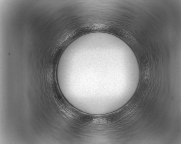 X0000057070591200510010136