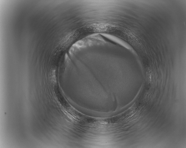 X0000057070598200510010135