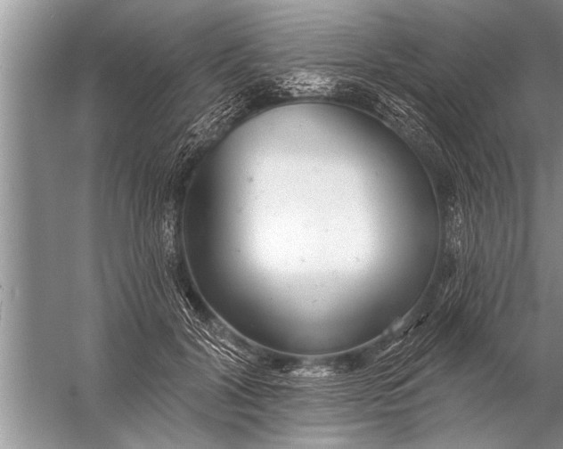 X0000057070604200510010135