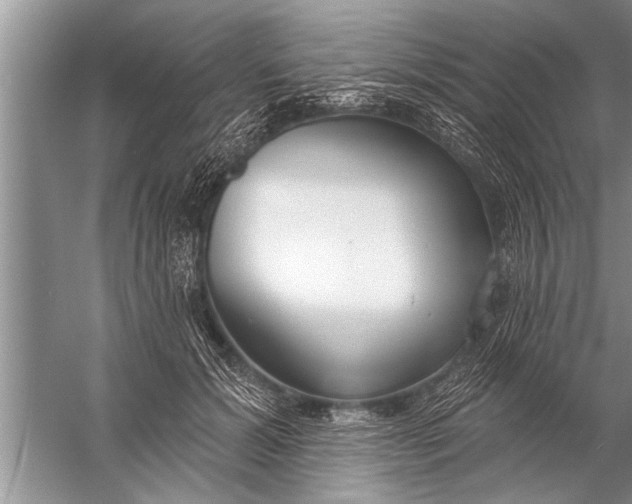 X0000057070605200510010135