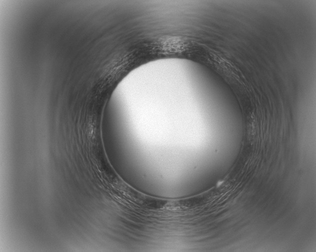 X0000057070608200510010135