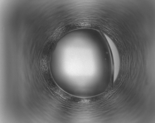 X0000057070609200510010135