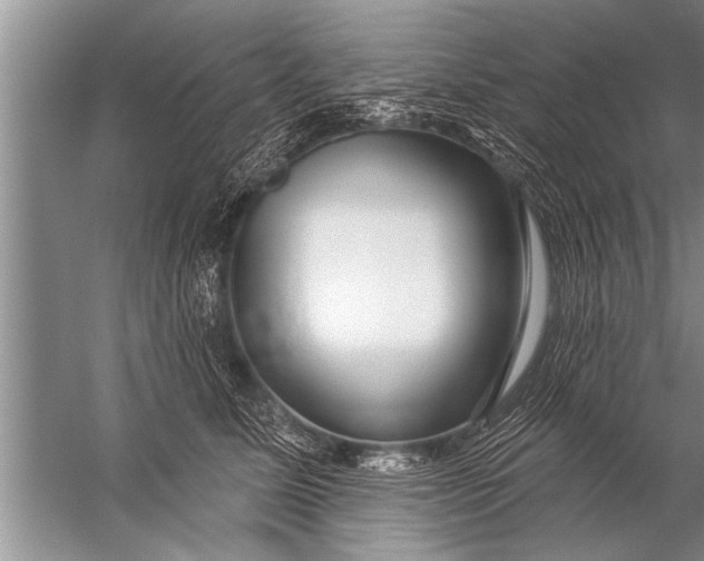 X0000057070611200510010135