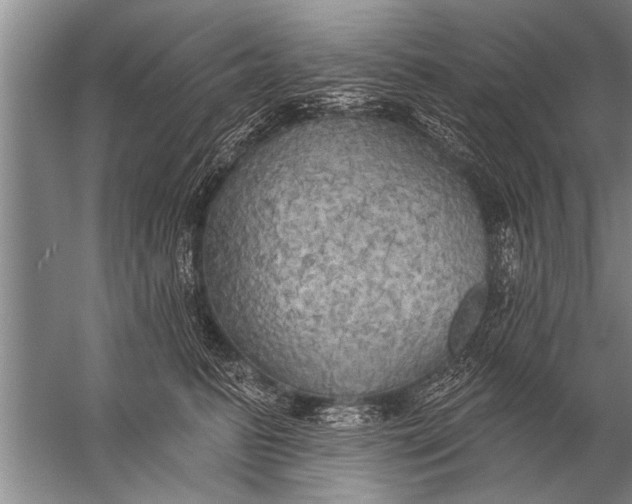 X0000057070615200510010135