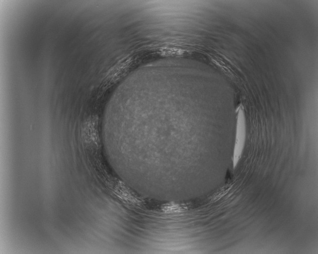 X0000057070616200510010135