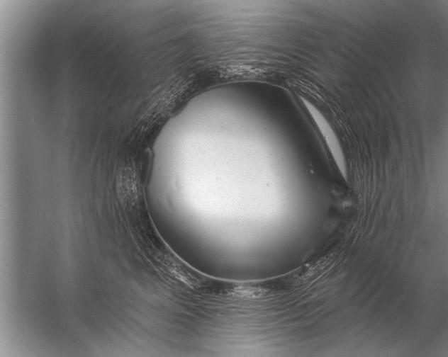 X0000057070617200510010135