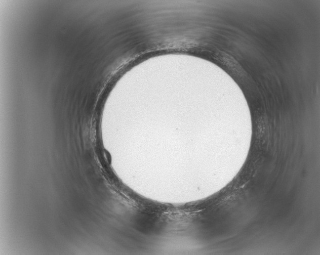 X0000057070632200510010134