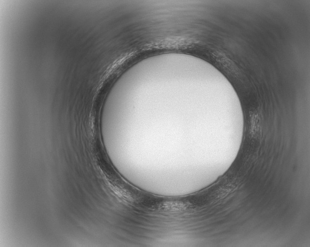 X0000057070636200510010134