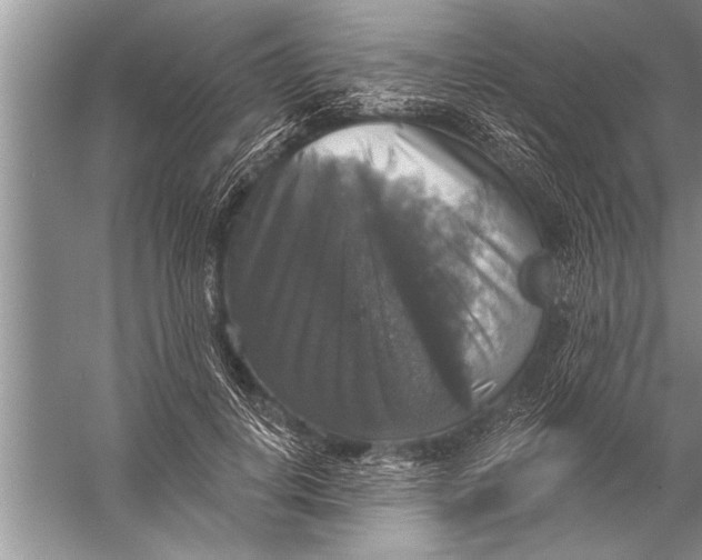 X0000057070648200510010135