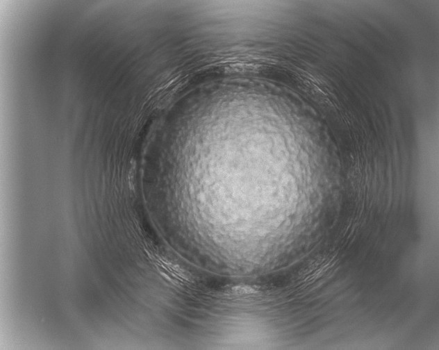 X0000057070649200510010135