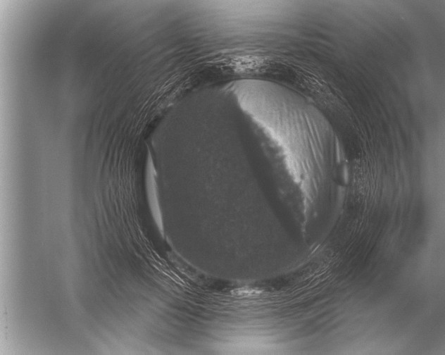 X0000057070650200510010135