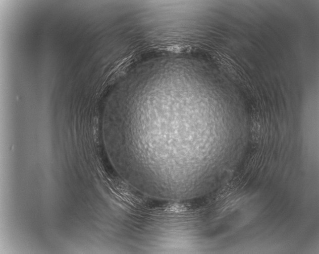 X0000057070656200510010135