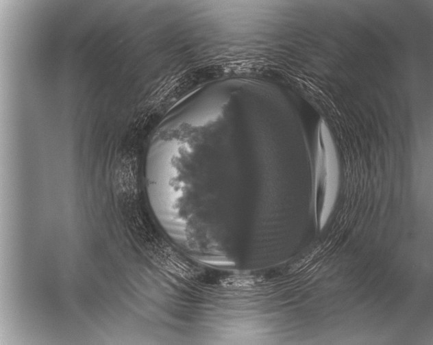 X0000057070661200510010135