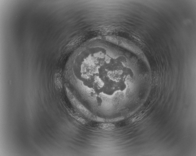 X0000057070719200510010133