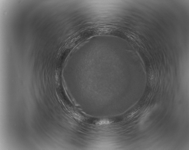 X0000057070759200510010133