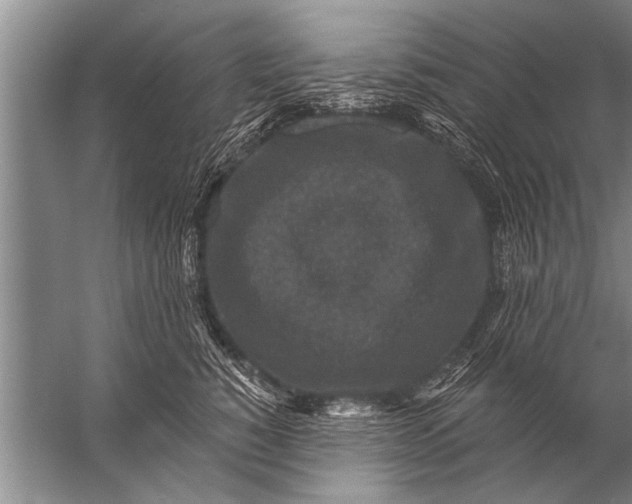 X0000057070760200510010133
