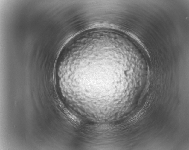 X0000057070791200510010132