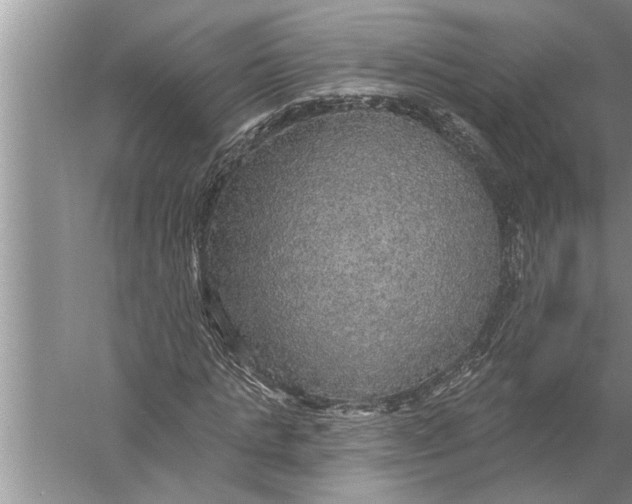 X0000057070821200510010131