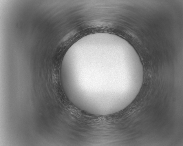 X0000057070869200510010131