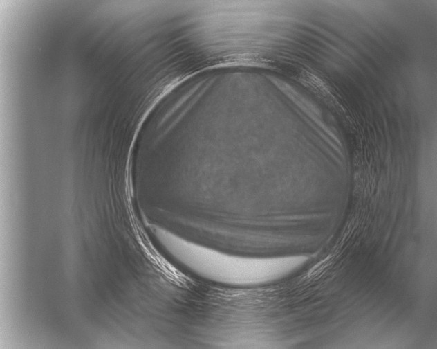 X0000057070892200510010130