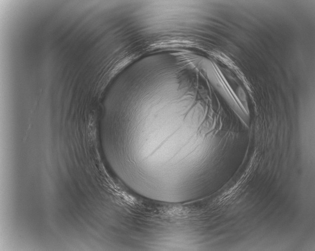 X0000057070945200510010130