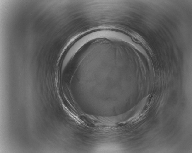 X0000057070958200510010130