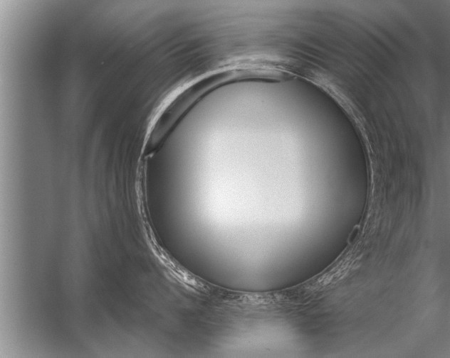 X0000057070960200510010130