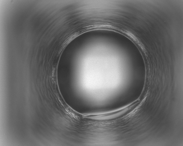 X0000057071001200510010129