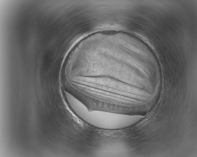 X0000057071056200510010128