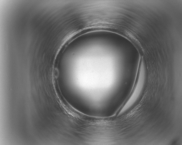 X0000057071085200510010127