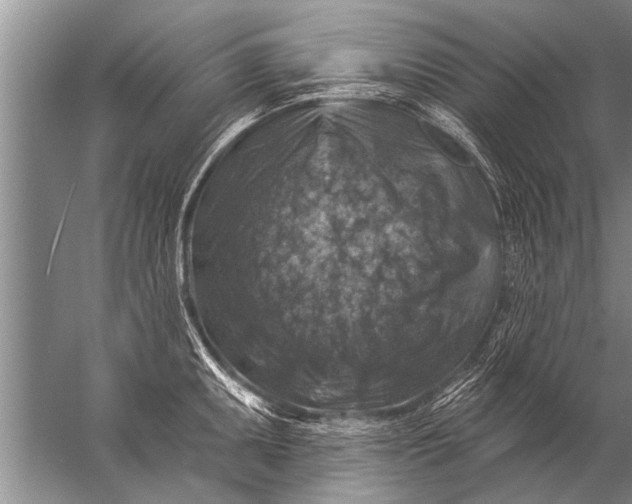 X0000057071095200510010127