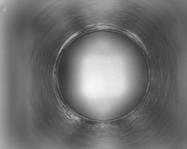 X0000057071190200510010125