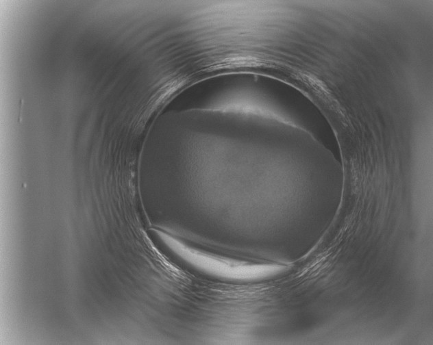 X0000057071225200510010125