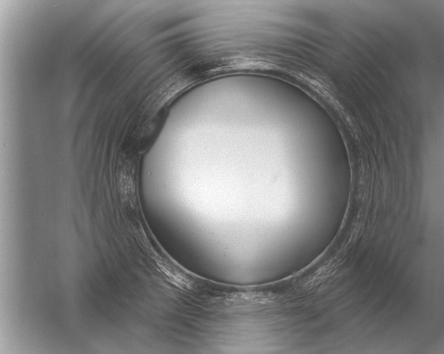 X0000057071281200510010124