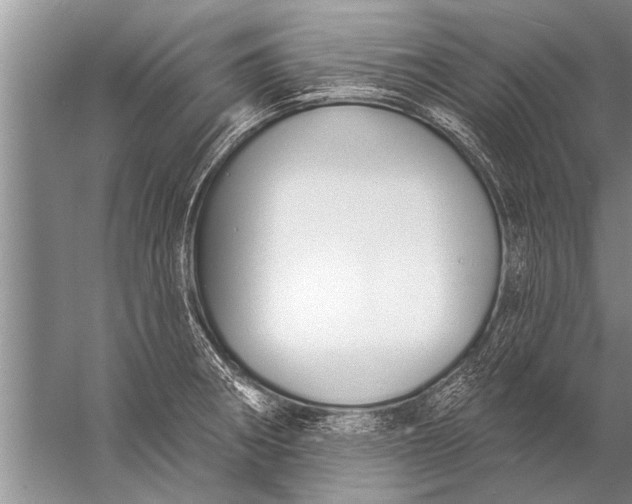 X0000057071282200510010124