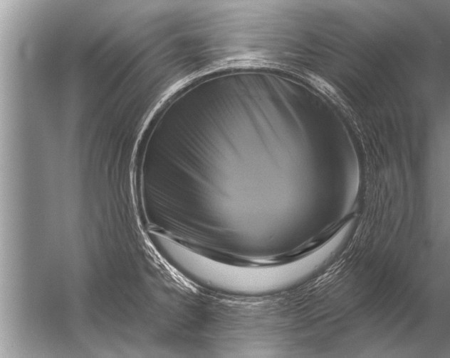 X0000057071334200510010123