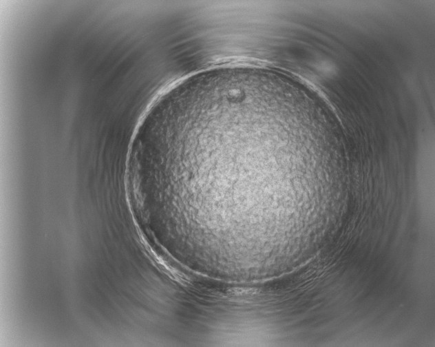 X0000057071379200510010122