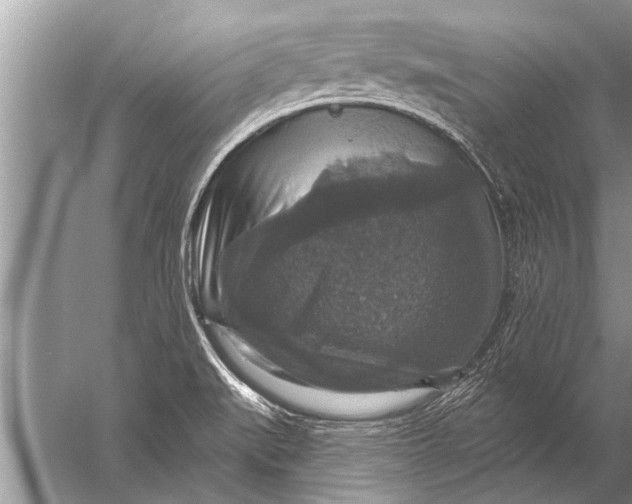 X0000057071519200510010120